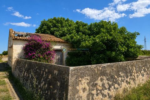 Helårsgrund i Piles, Valencia, Piles - € 40.000 | Ref: PNPT303 - foto 1